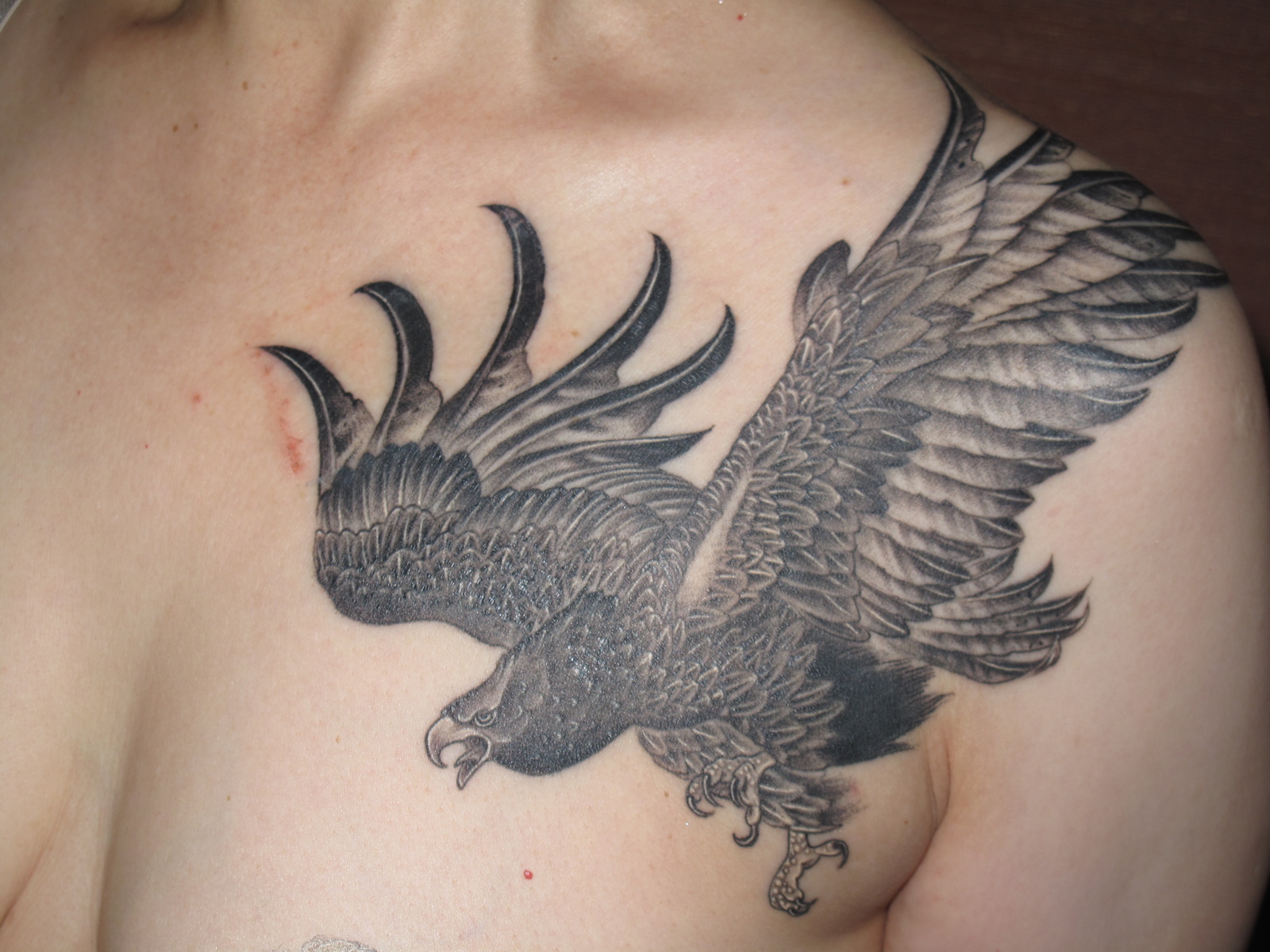 鷹|胸　ブラックアンドグレー　ブラックアンドグレイ　鷹　イーグル