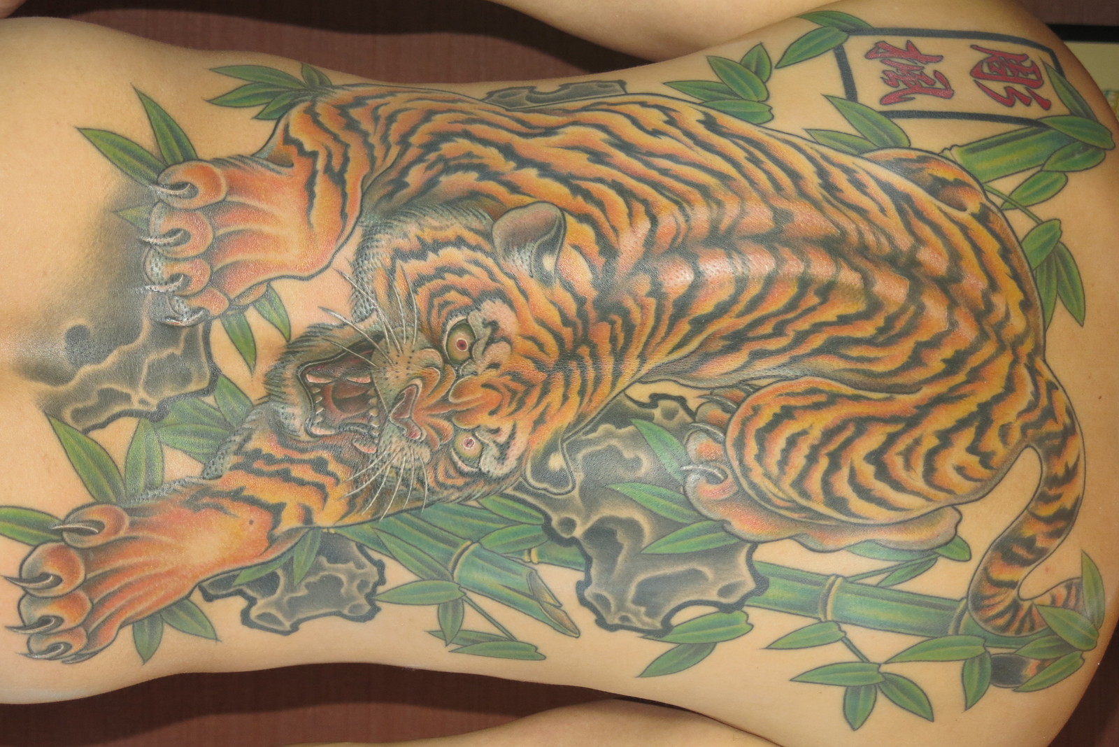 虎|背中一面　カラー　虎　トラ　タイガー