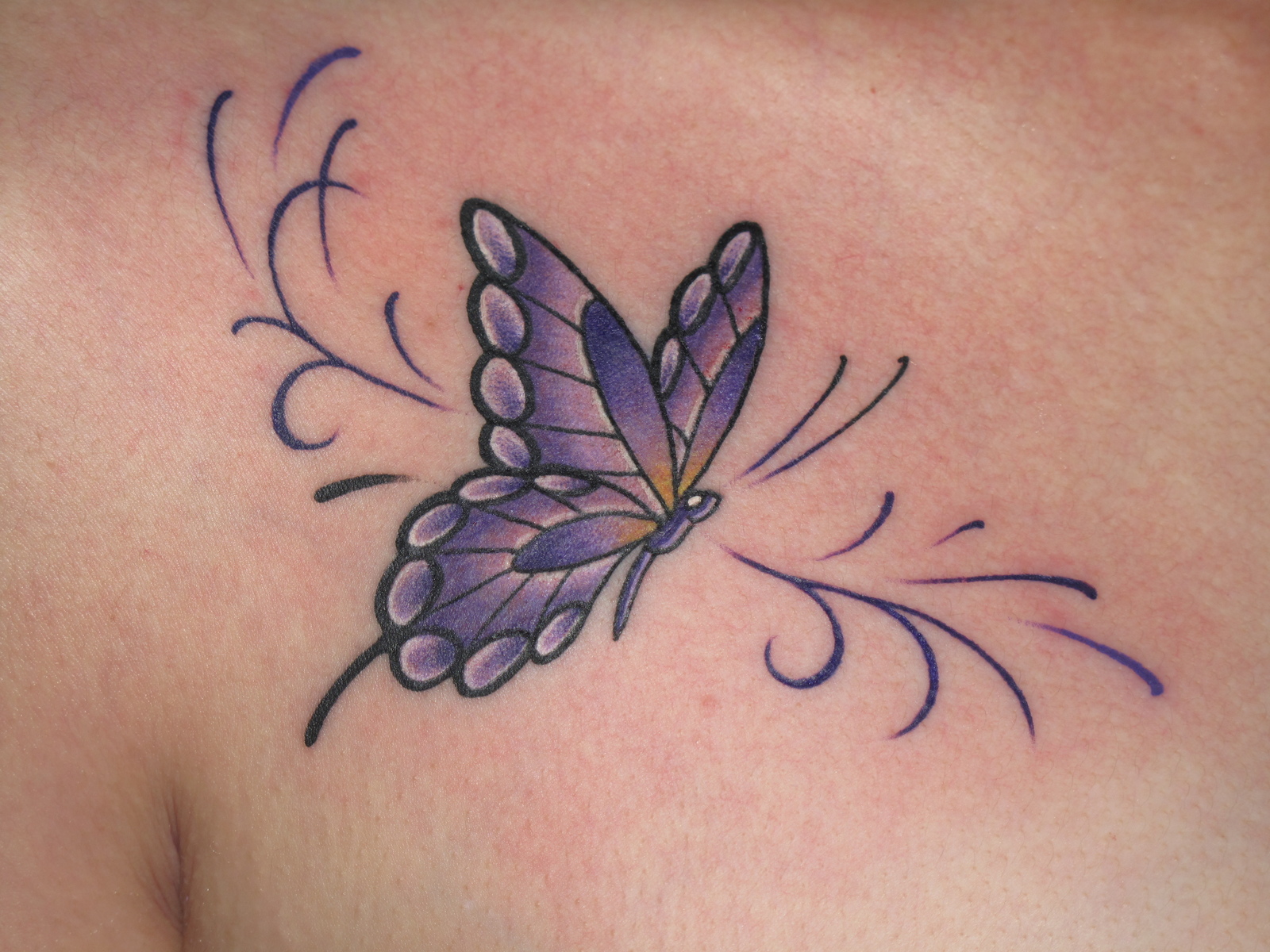 蝶々|胸　カラー　ワンポイント　蝶々　バタフライ　模様