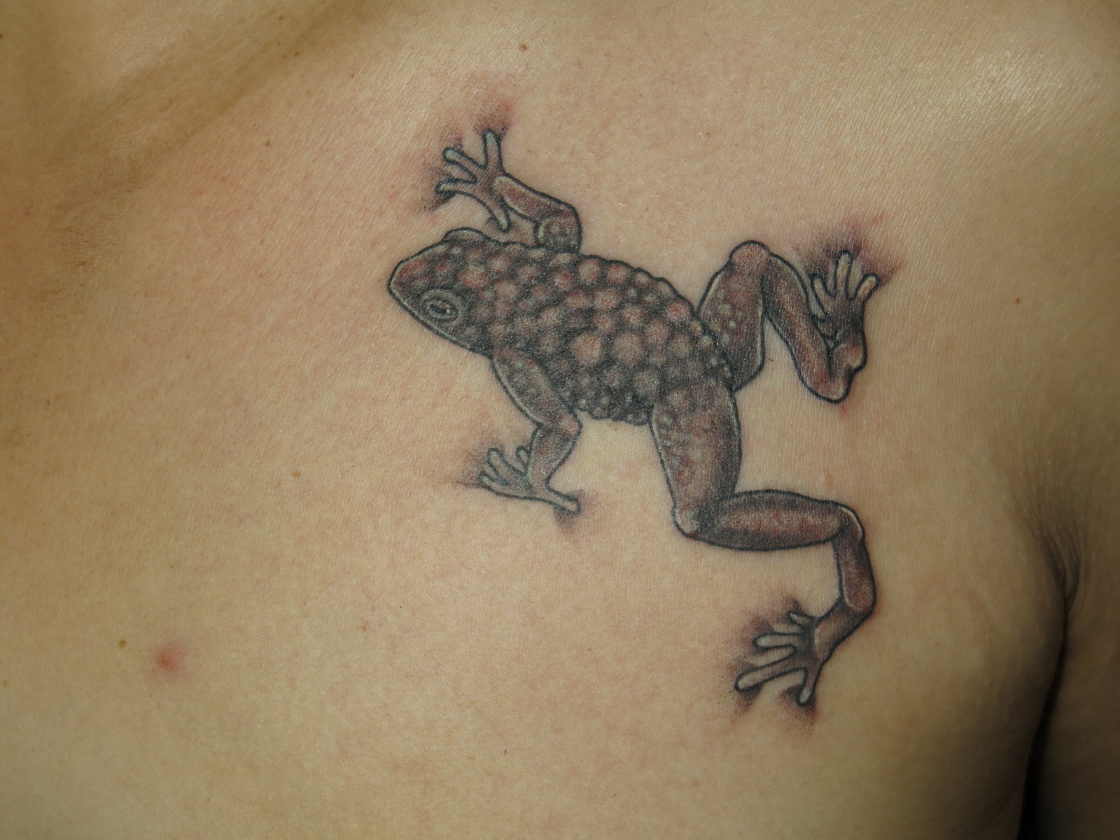 蛙|胸　ブラックアンドグレイ　ブラックアンドグレー　蛙　カエル