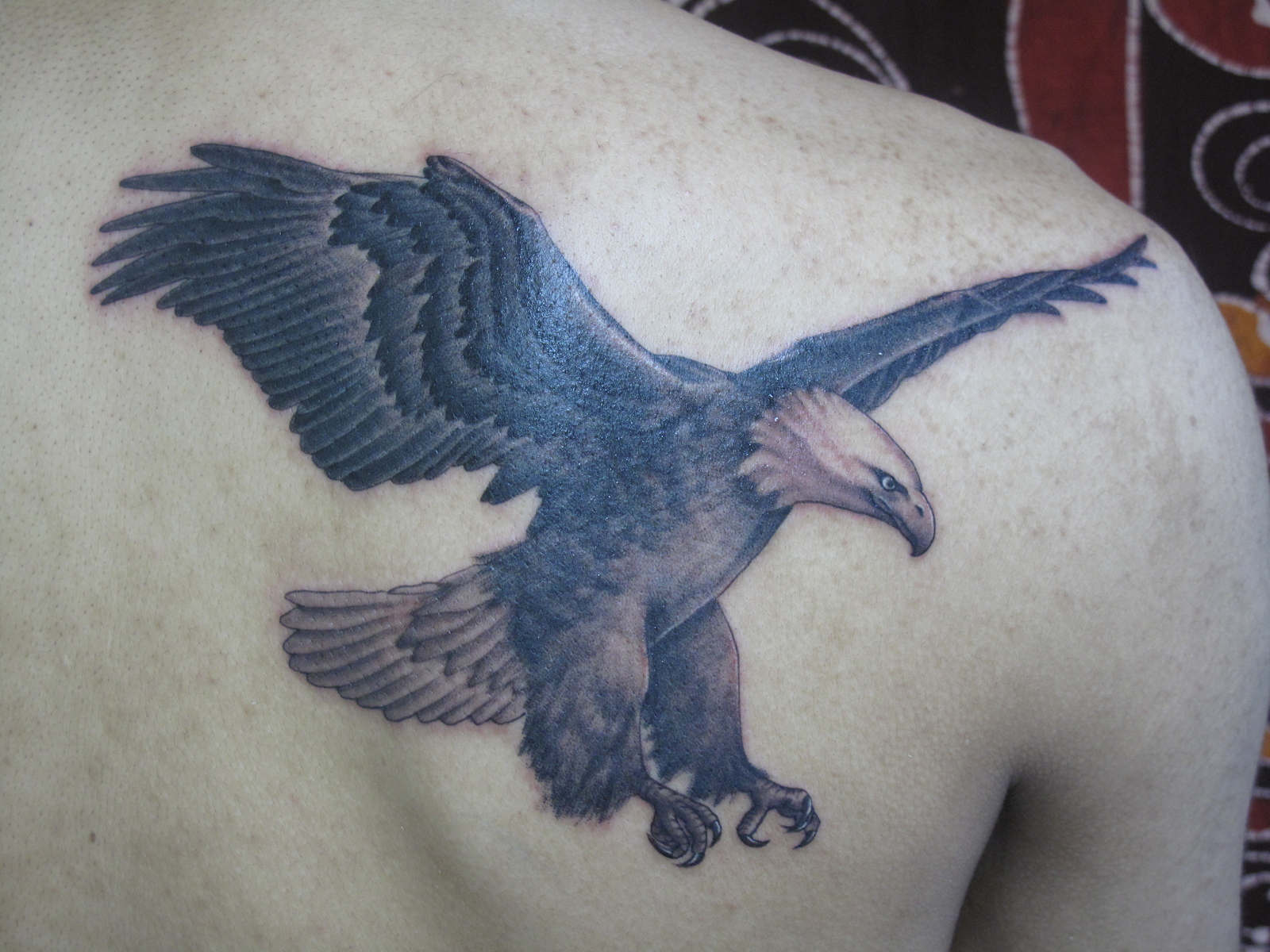 鷹|背中　ブラックアンドグレイ　ブラックアンドグレー　鷹　イーグル