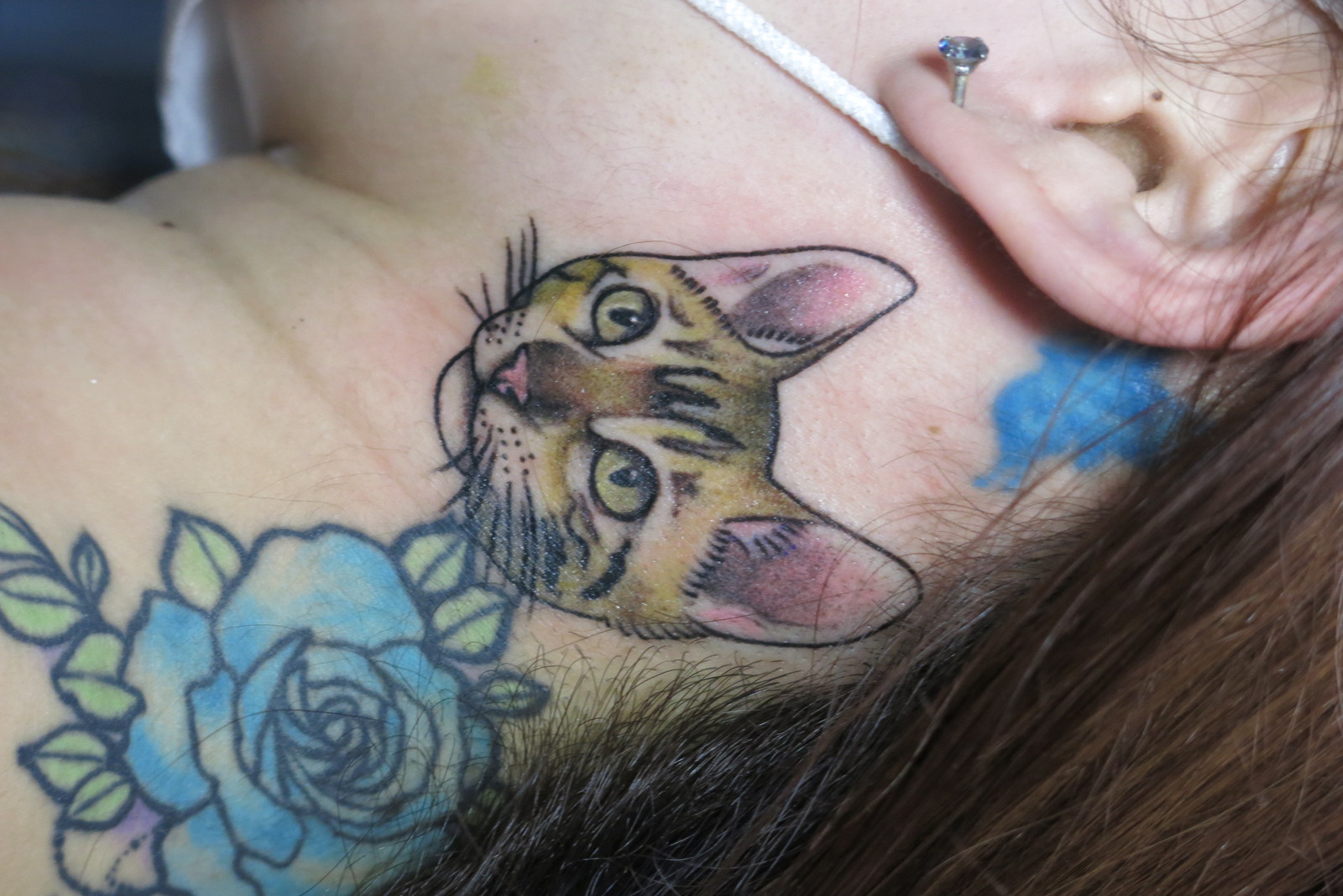 猫|首　耳　耳裏　カラー　リアル　ポートレート　ワンポイント　猫　ネコ