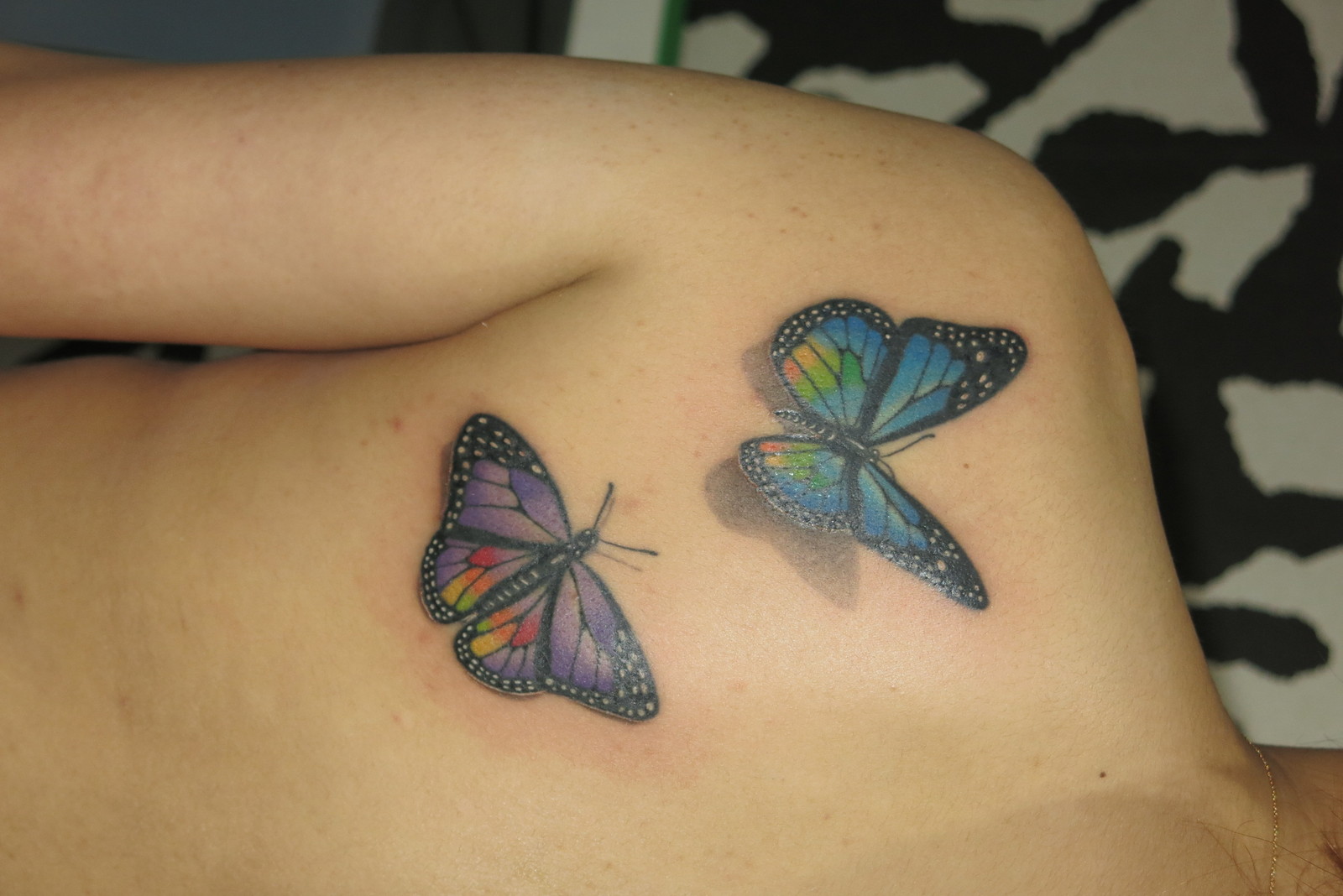 蝶々|背中　カラー　蝶々　蝶　butterfly　バタフライ