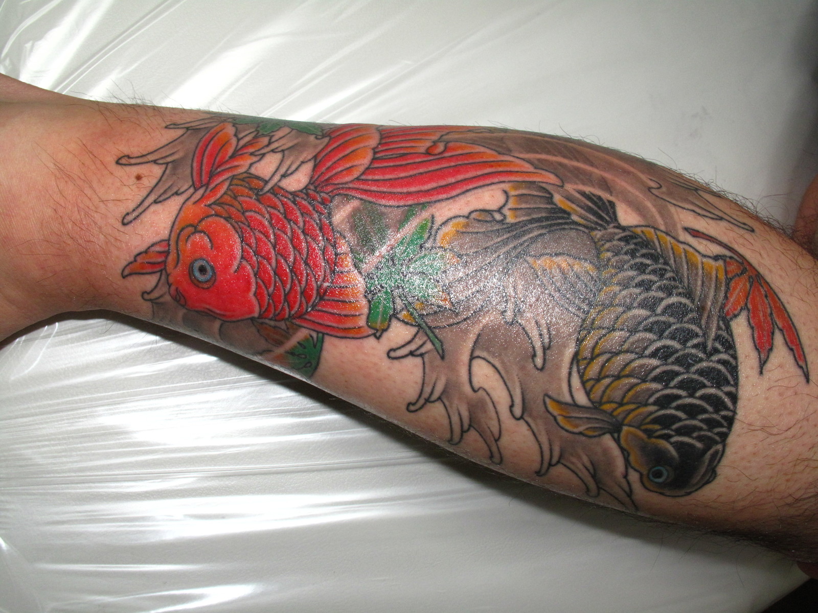 金魚|足　脚　カラー　金魚