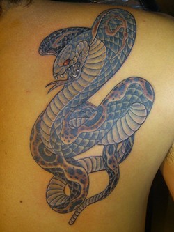 蛇|背中　カラー　蛇　ヘビ